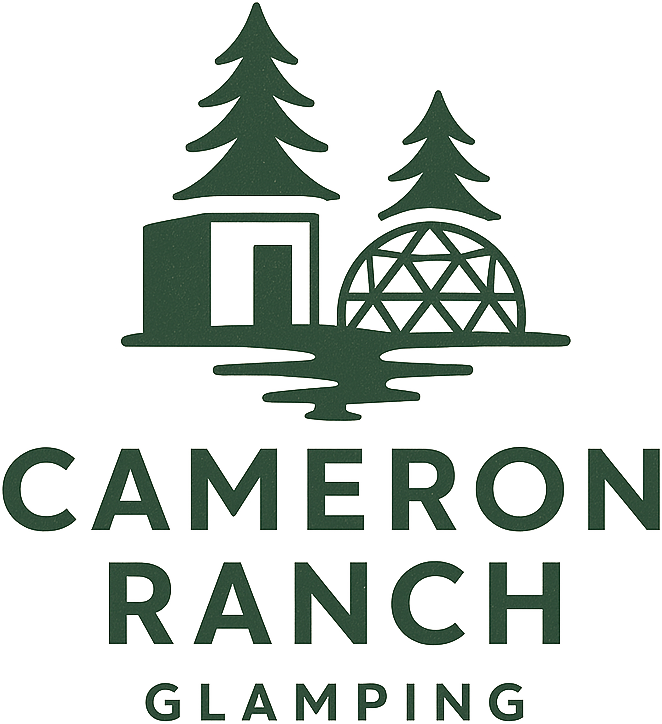 logo transparent