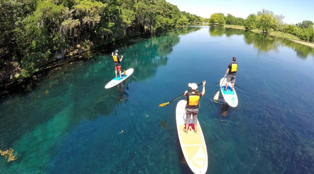 paddleboard