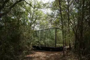 Lake Bastrop Cabins (Austin)